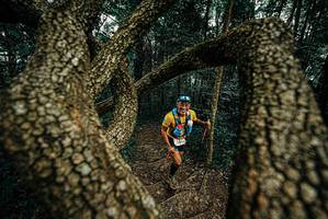 BIB: 
                            <button type="button" onclick="openModal(25668955)" class="btn btn-primary btn-sm float-right btn-popup" data-toggle="modal" data-target=".modal-high-quality">
                        <i class="fas fa-shopping-cart"></i> Add to Cart
                    </button>
                                            <button type="button" onclick="isThisMe(25668955, true)" class="btn btn-success btn-sm float-right btn-popup btn-isme hidden" data-toggle="tooltip" data-placement="bottom" title="นี่คือรูปของคุณใช่ไหม คลิกที่นี่เพื่อเอาเข้าอัลบั้ม">
                        <i class="fas fa-plus"></i> Add to album
                    </button>
                    <button type="button" onclick="isThisMe(25668955, false)" class="btn btn-warning btn-sm float-right btn-popup btn-isnotme hidden">
                        <i class="fas fa-ban"></i> Remove from album
                    </button>